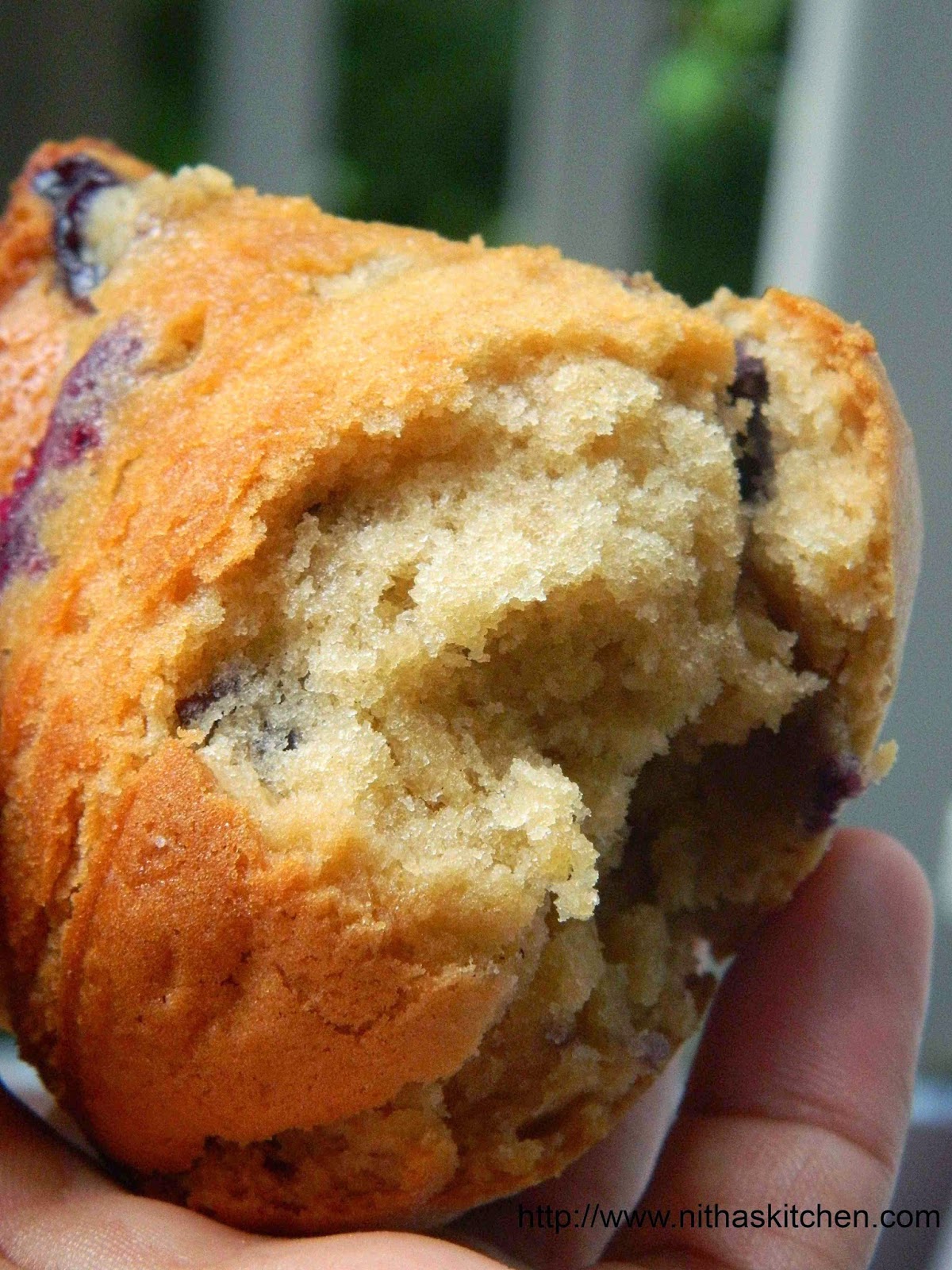 Healthy Eggless Butter Free Blueberry Muffins Nitha Kitchen