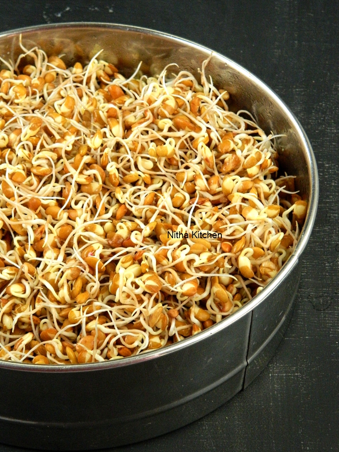 mulai katiya kollu horsegram sprouts