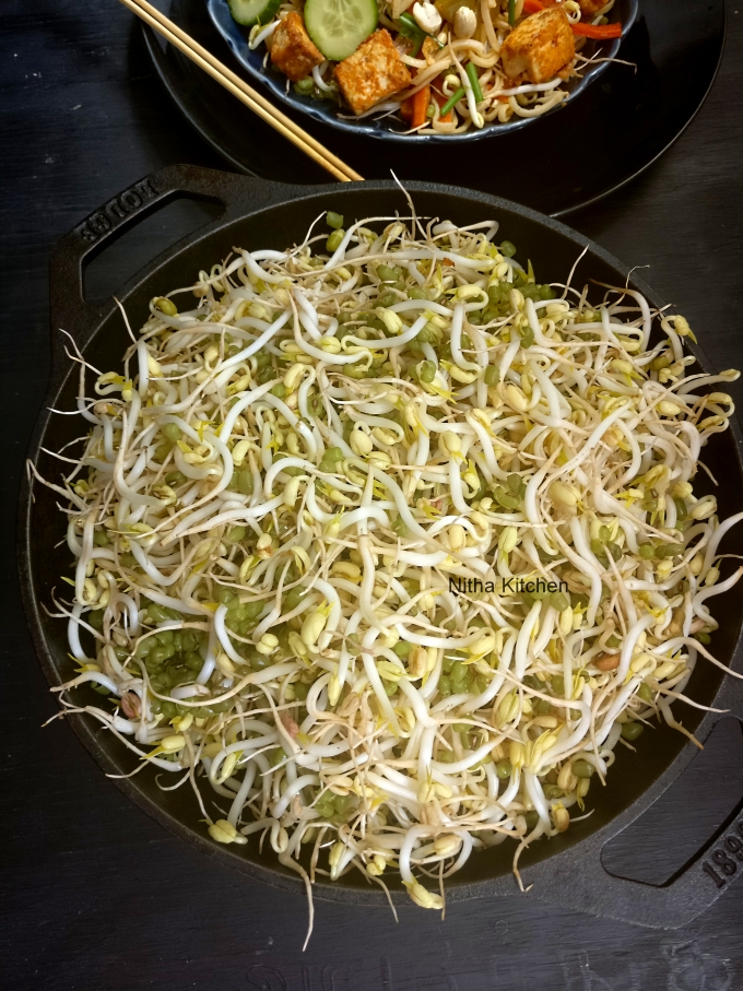 How to grow Mung Bean Sprouts Video Tutorial